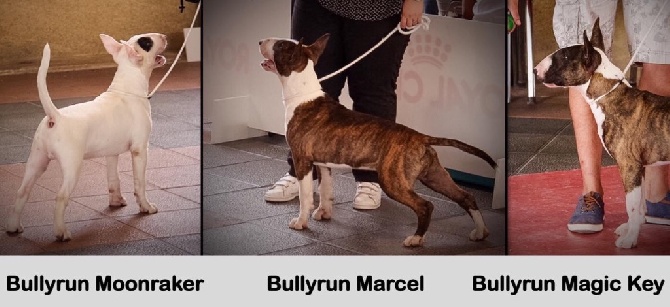 Bullyrun - CACS Narbonne 28 août 2016