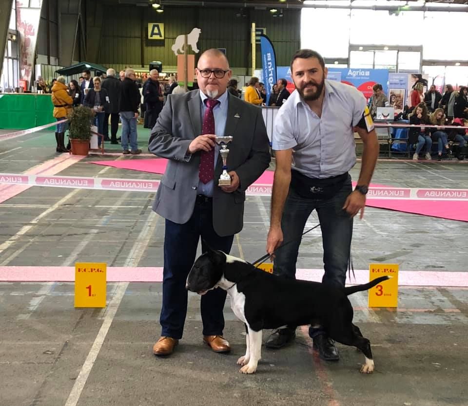 Bullyrun - CACIB Tarbes 2019